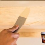 dempul kayu Biovarnish