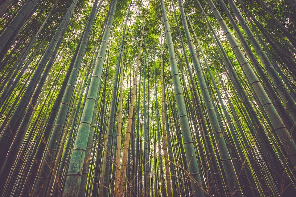 cat untuk kerajinan bambu