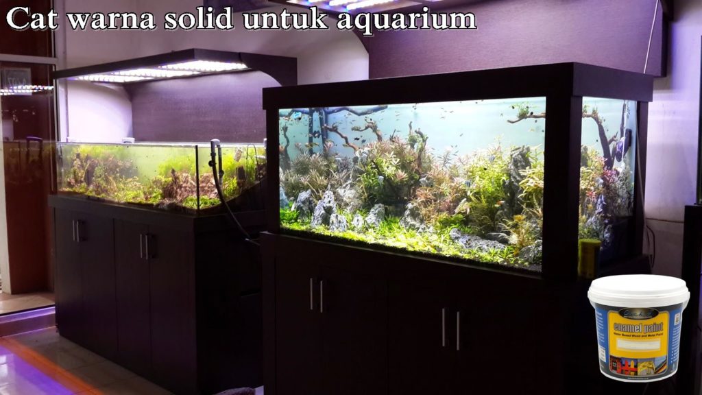 cat-untuk-aquarium