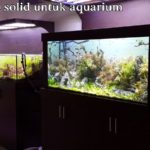 cat-untuk-aquarium