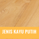 Mengenal Jenis Kayu Warna Putih